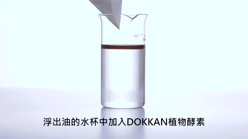 DOKKAN植物酵素 金裝加強版 (1)